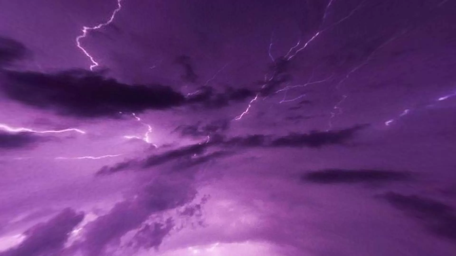 Gallery Image 2 for EZ PACK PURPLE on PVPRP